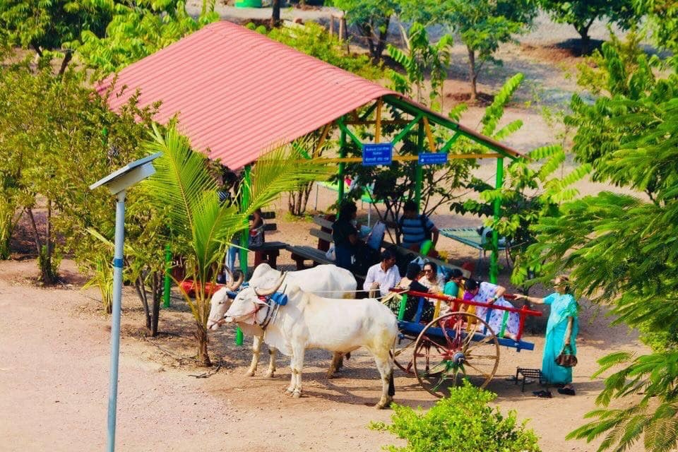 Carousel Image